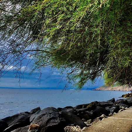 Bilocale Panoramico “Lo Sguardo” Daire Massa Lubrense Dış mekan fotoğraf