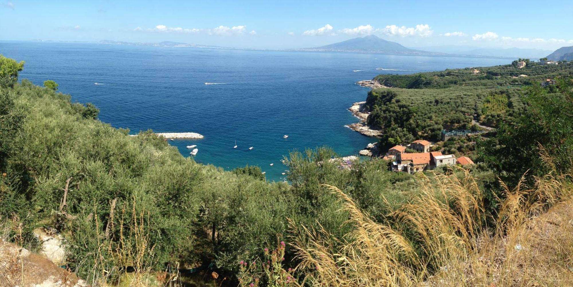 Bilocale Panoramico “Lo Sguardo” Daire Massa Lubrense Dış mekan fotoğraf