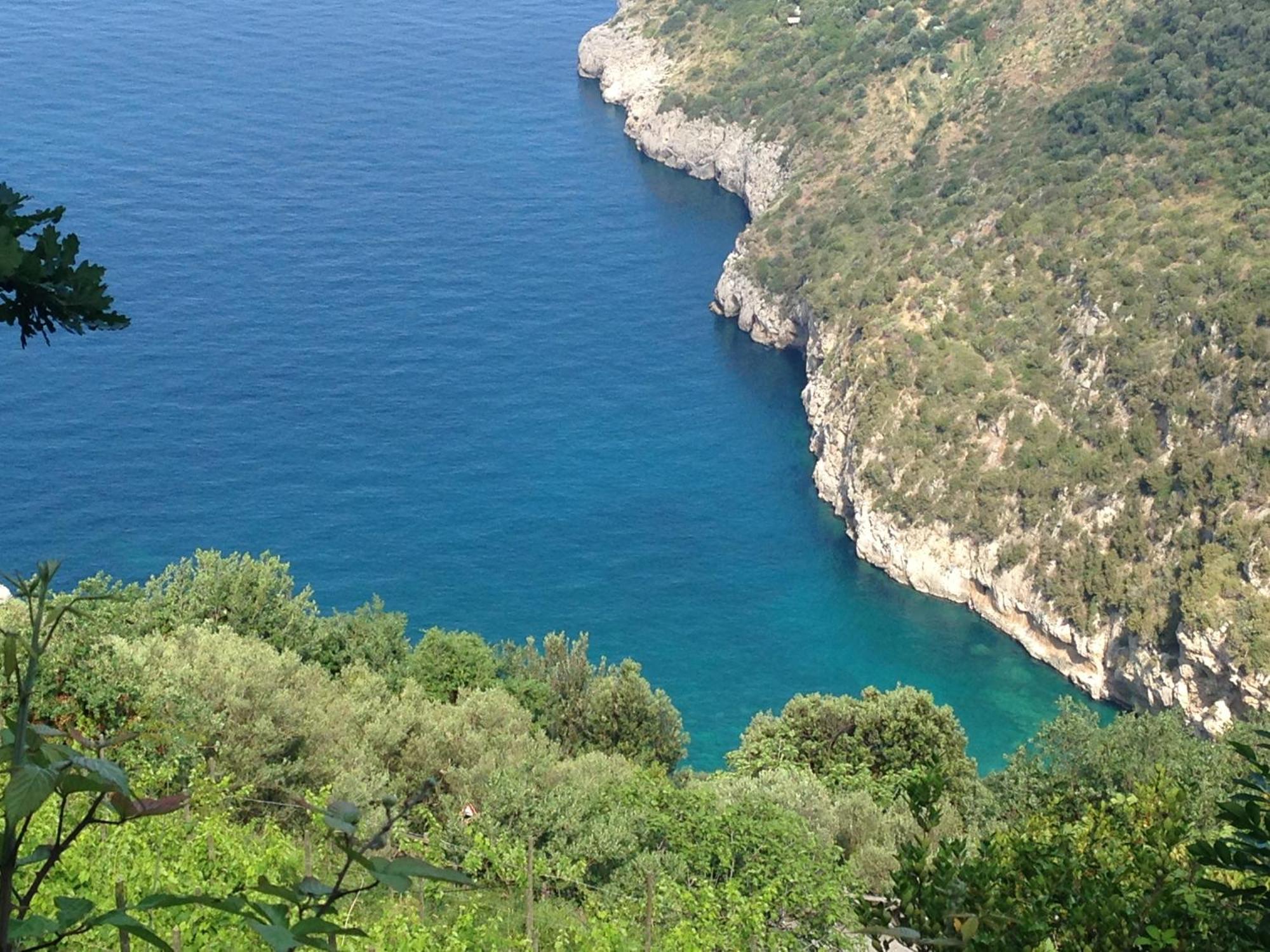 Bilocale Panoramico “Lo Sguardo” Daire Massa Lubrense Dış mekan fotoğraf