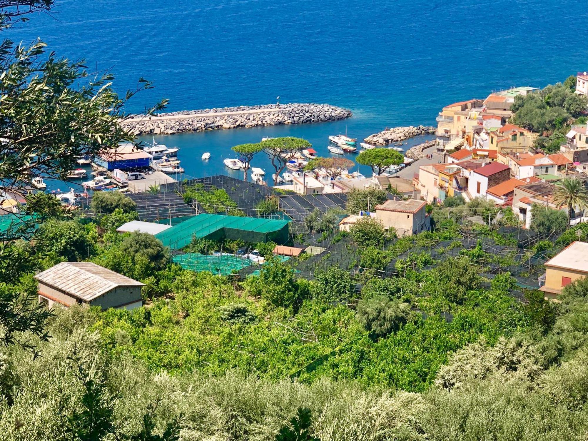 Bilocale Panoramico “Lo Sguardo” Daire Massa Lubrense Dış mekan fotoğraf