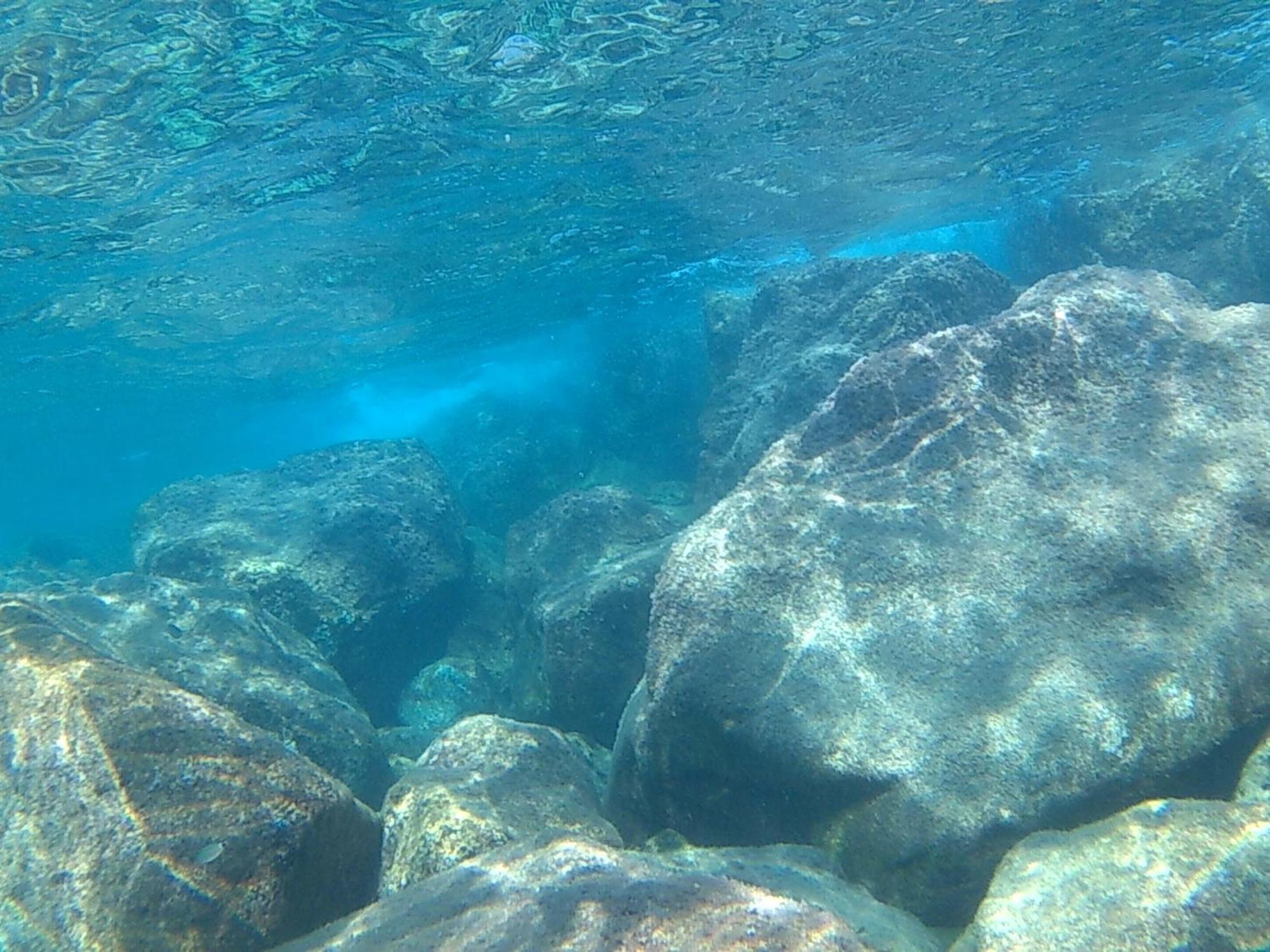 Bilocale Panoramico “Lo Sguardo” Daire Massa Lubrense Dış mekan fotoğraf