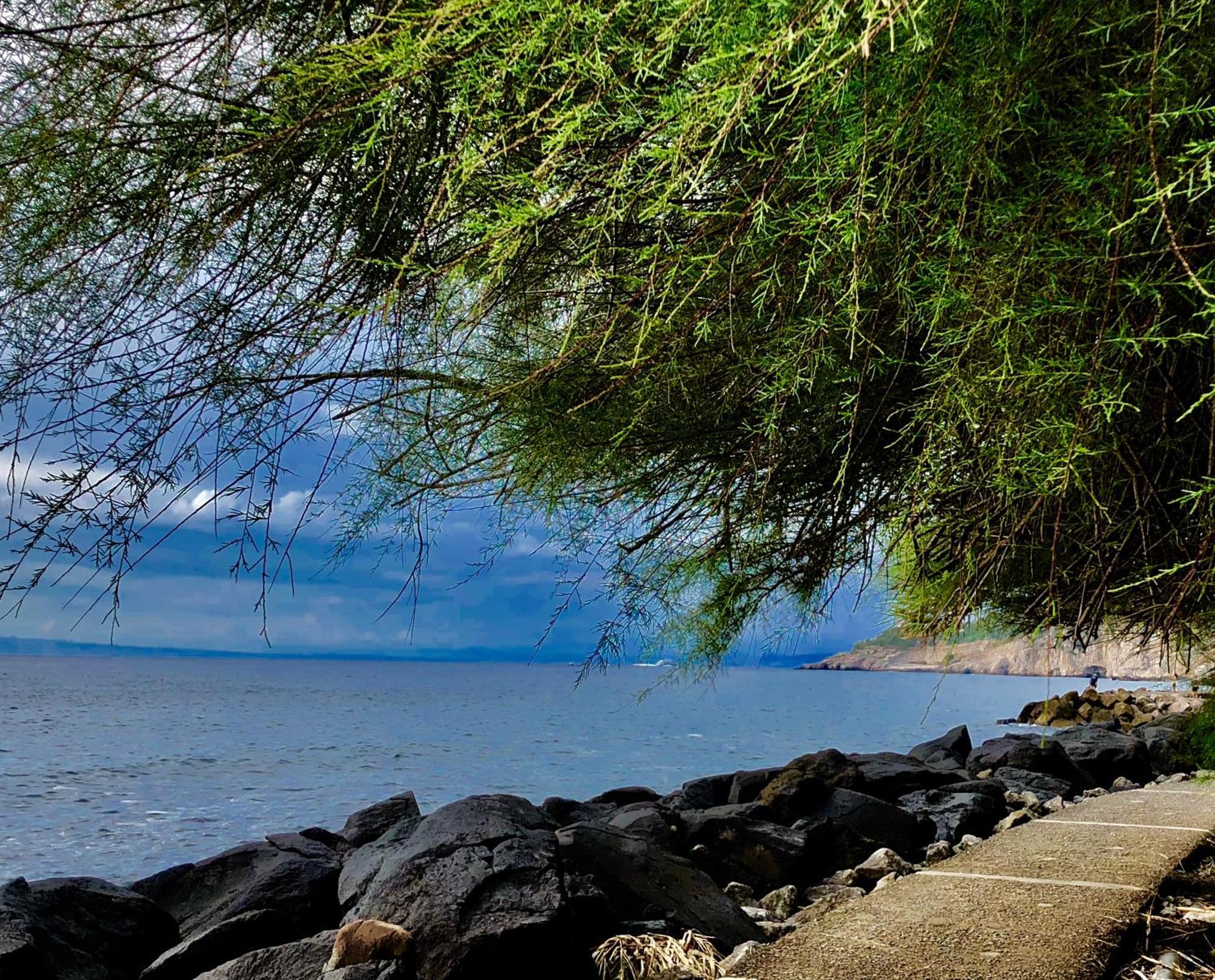 Bilocale Panoramico “Lo Sguardo” Daire Massa Lubrense Dış mekan fotoğraf